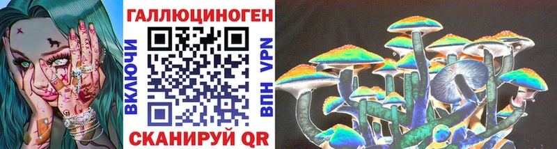 Псилоцибиновые грибы Cubensis  купить   Рузаевка 